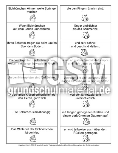 Eichhörnchen-Satzteile-verbinden-2.pdf